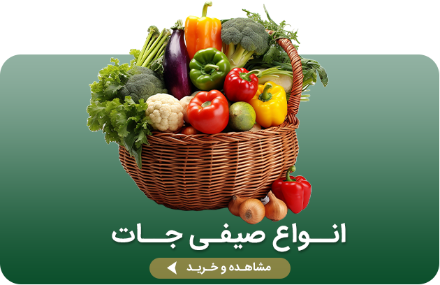 https://onlinefrout.com/category/seyfijat?min=25000&max=25000&show=0&search=&allSize=&allColor=